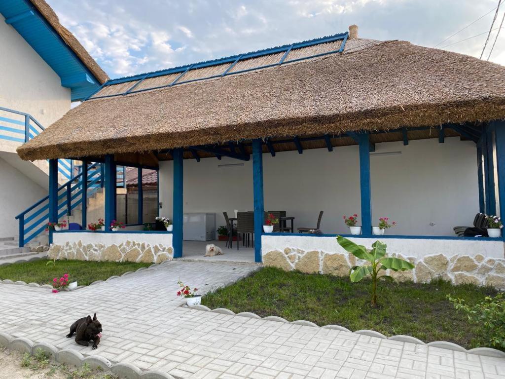 Hotel Casa Munteanu Mila Douăzeci şi Trei Exteriér fotografie